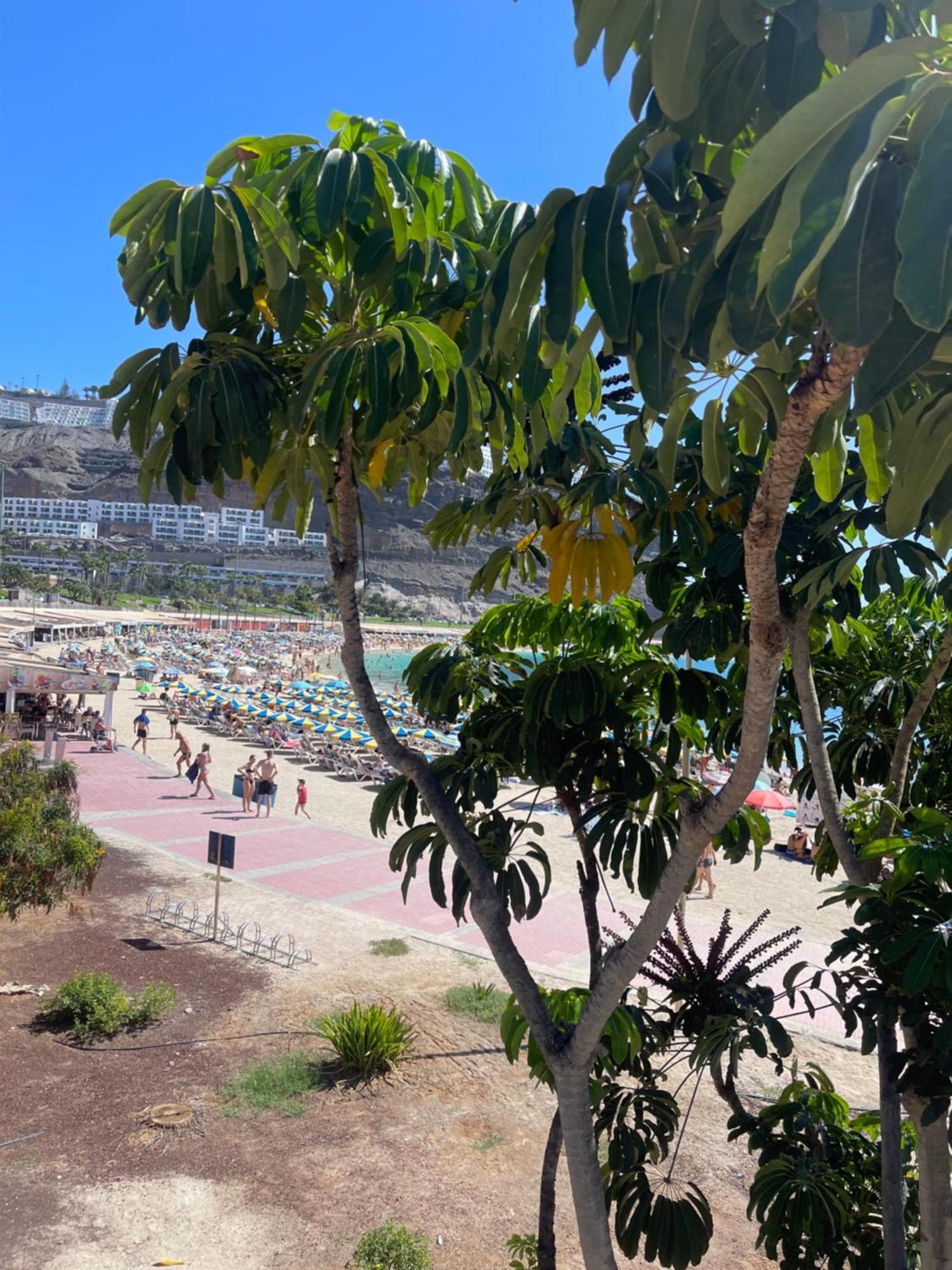 Puerto Rico New 2 Bedroom Apart Экстерьер фото
